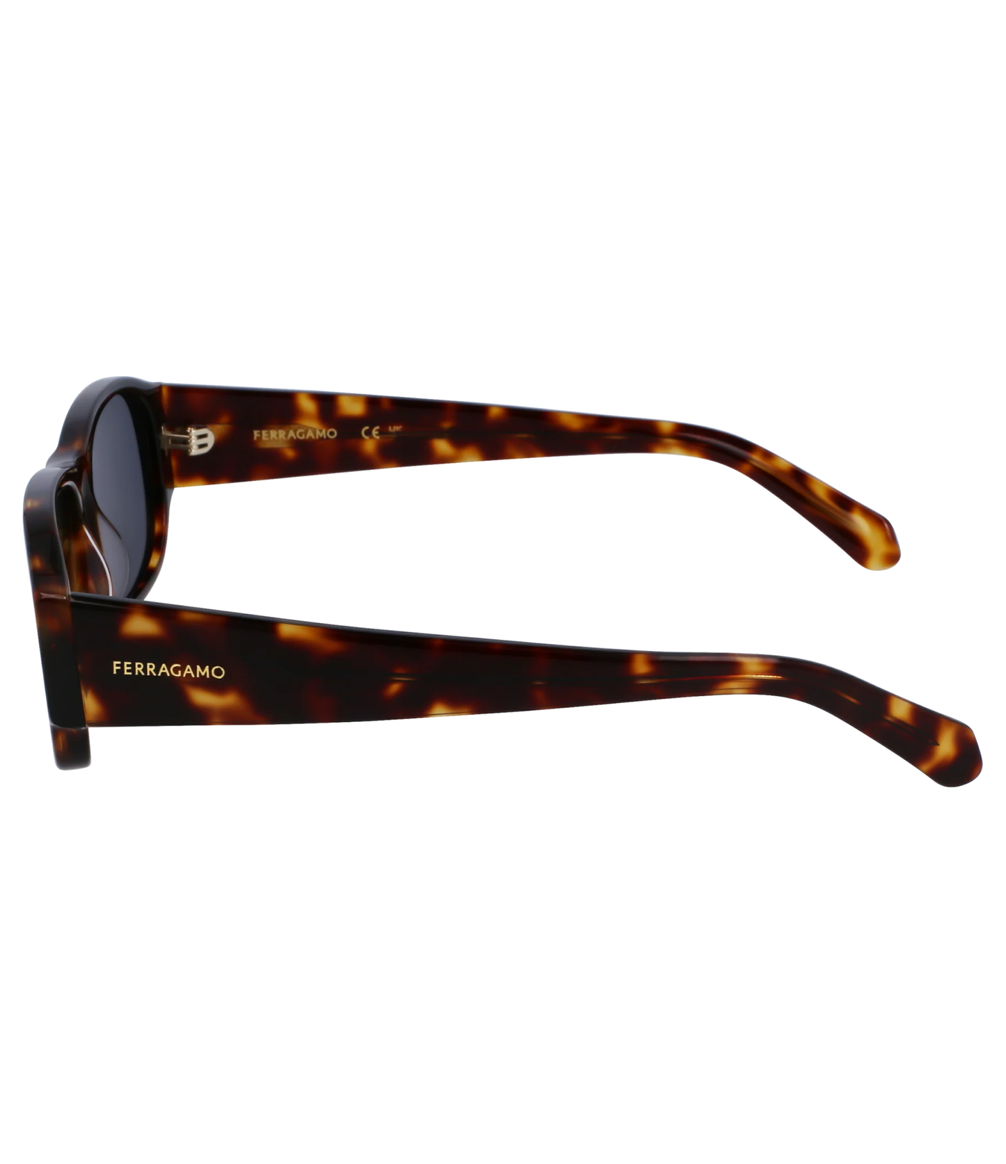 Lentes de Sol Ferragamo Tortoise Hombre