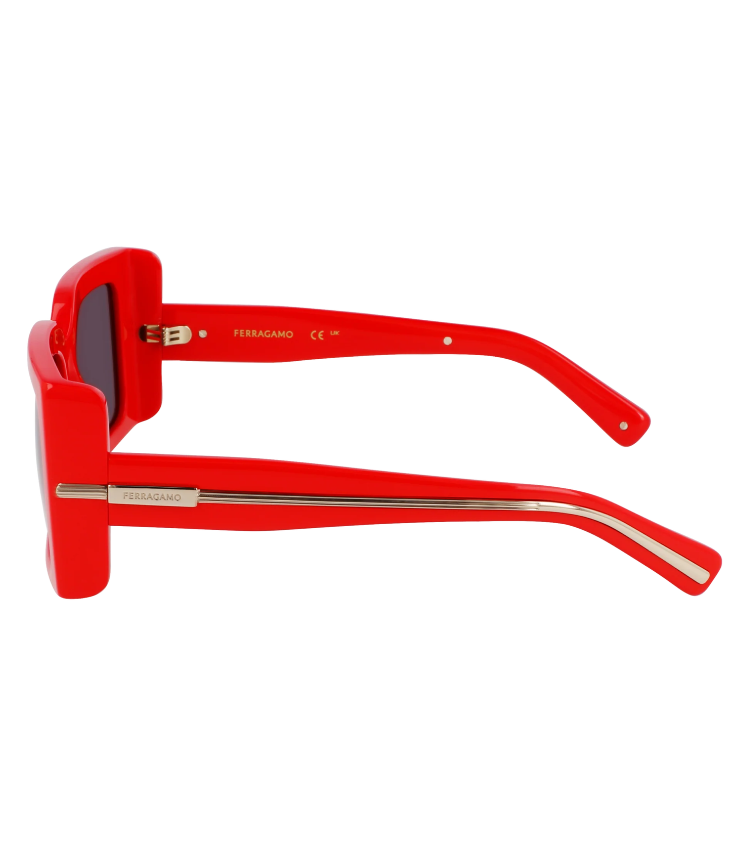 Lentes de Sol Ferragamo Rectangulares Dama